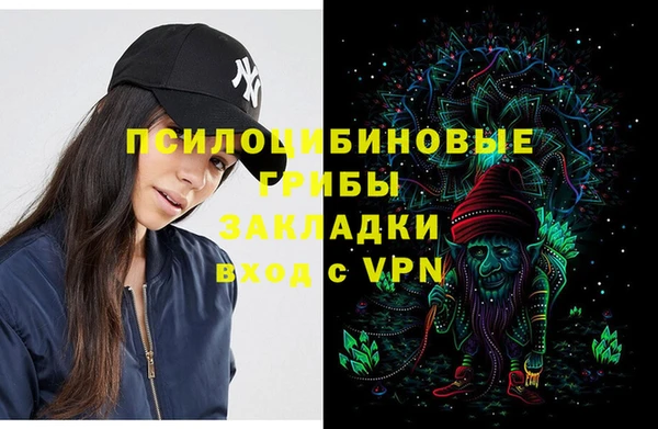ПСИЛОЦИБИНОВЫЕ ГРИБЫ Алексин