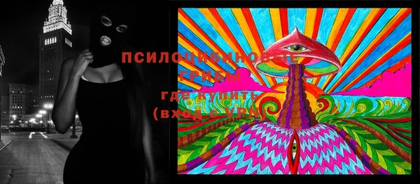 не бодяженный Алзамай